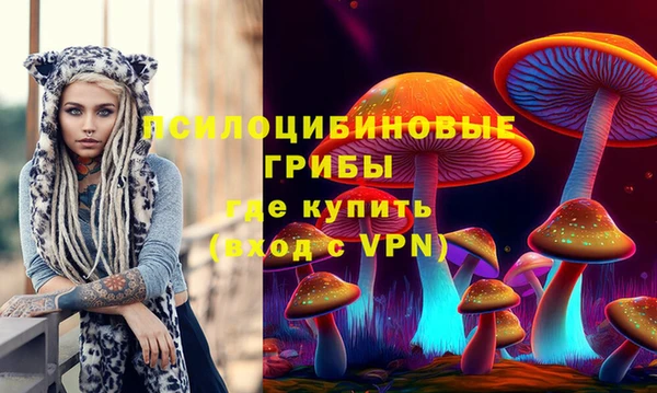 ГАЛЛЮЦИНОГЕННЫЕ ГРИБЫ Аркадак