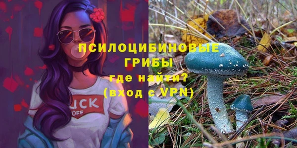 ГАЛЛЮЦИНОГЕННЫЕ ГРИБЫ Аркадак
