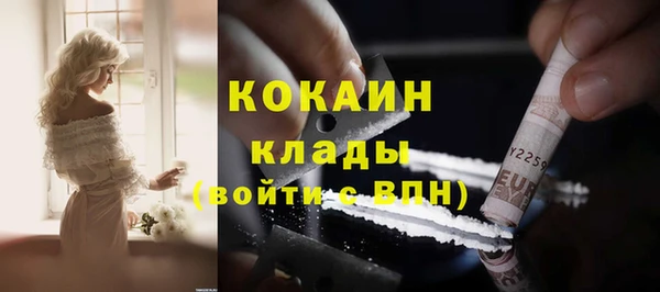 ГАЛЛЮЦИНОГЕННЫЕ ГРИБЫ Аркадак