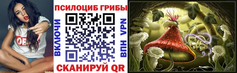 цена   Сердобск  Галлюциногенные грибы Psilocybe 